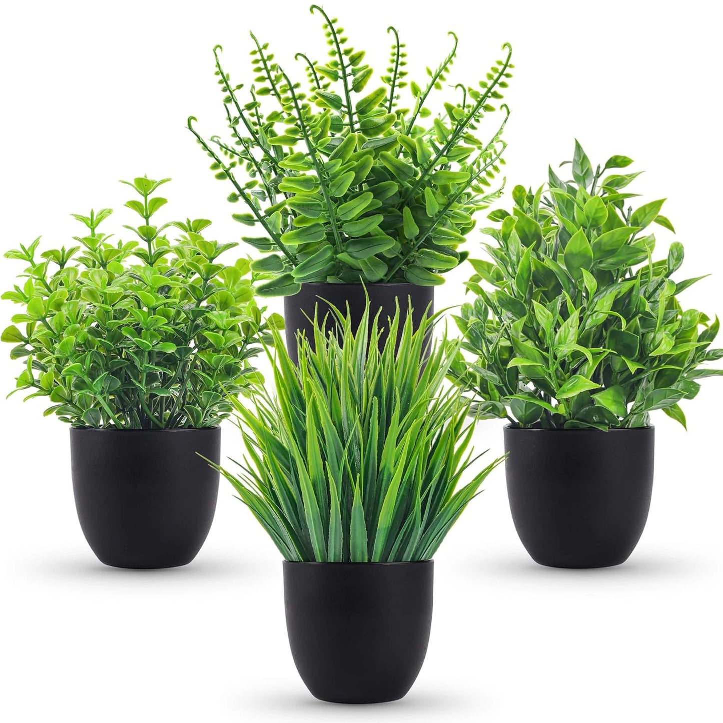 Plantas decorativas